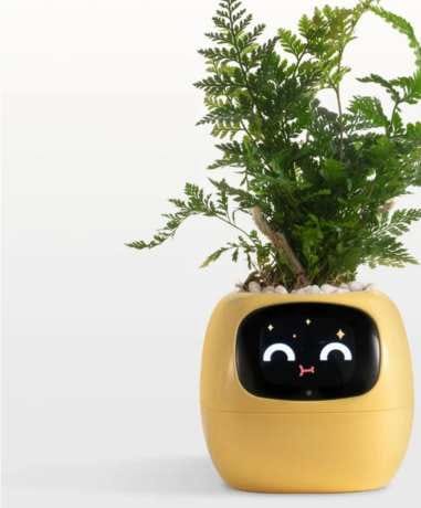 Tuya Ivy Smart Planter