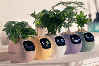 Tuya Ivy Smart Planter